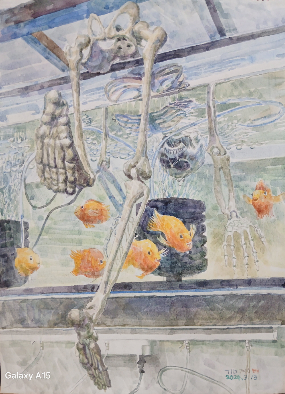 2080718575_nUrox89d_974e6adeac487d942c63548430f712b3ab7edb04.jpg 이미지크게보기