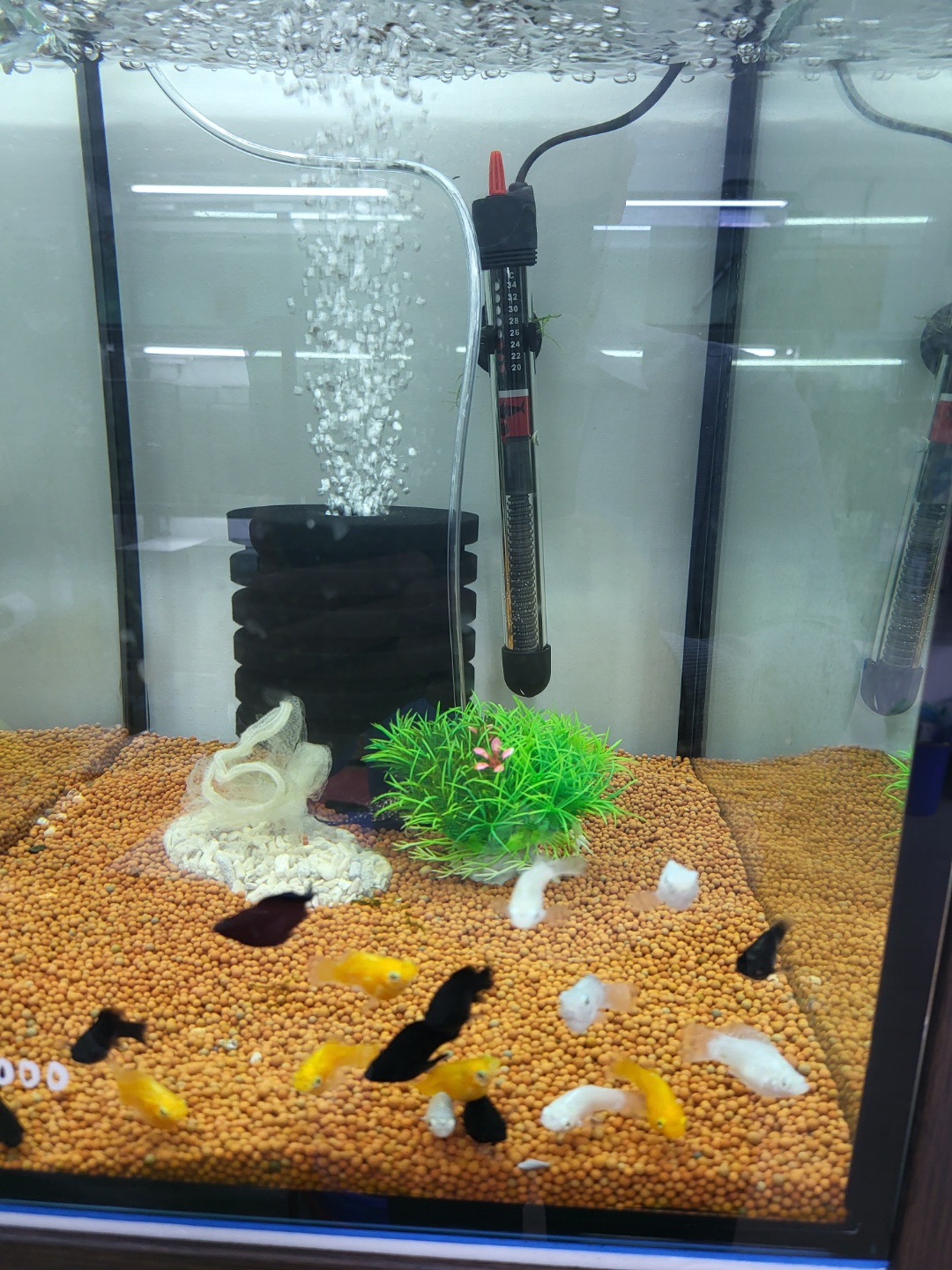 2000769928_8qowbgxJ_bd515a1e8c1a030552f5e4d1223415e12c0476e2.jpg 이미지크게보기