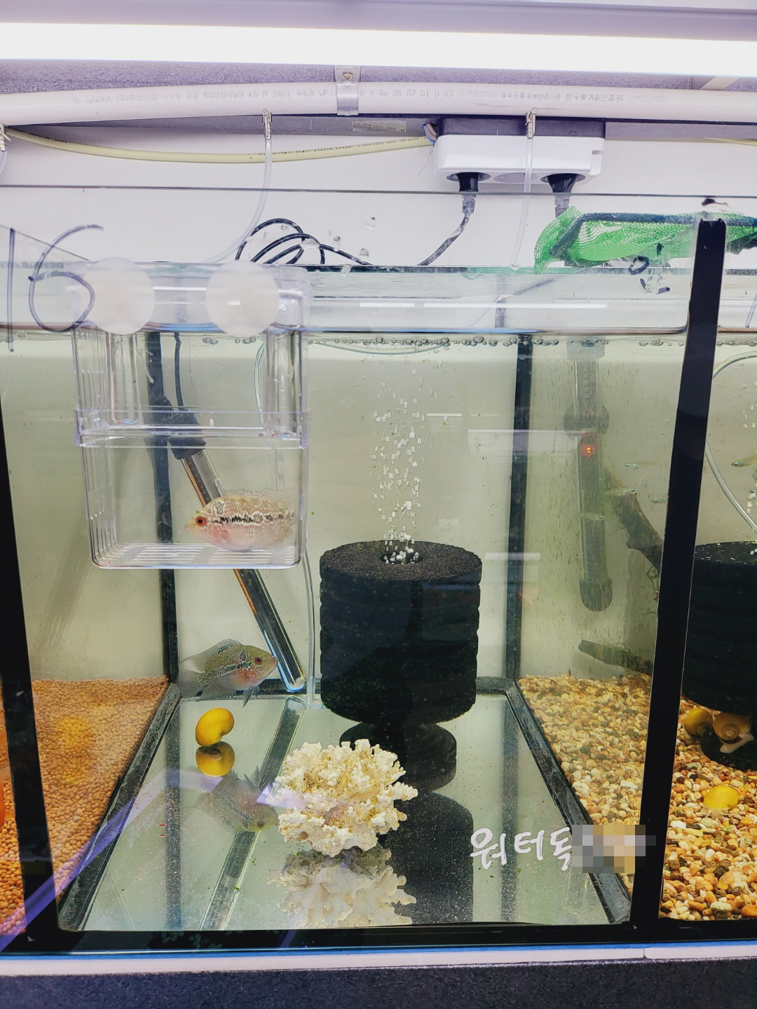 2000769928_D30Eq52n_64a516c6f59183225714f8a9cbb0e18528f3b65d.jpg 이미지크게보기