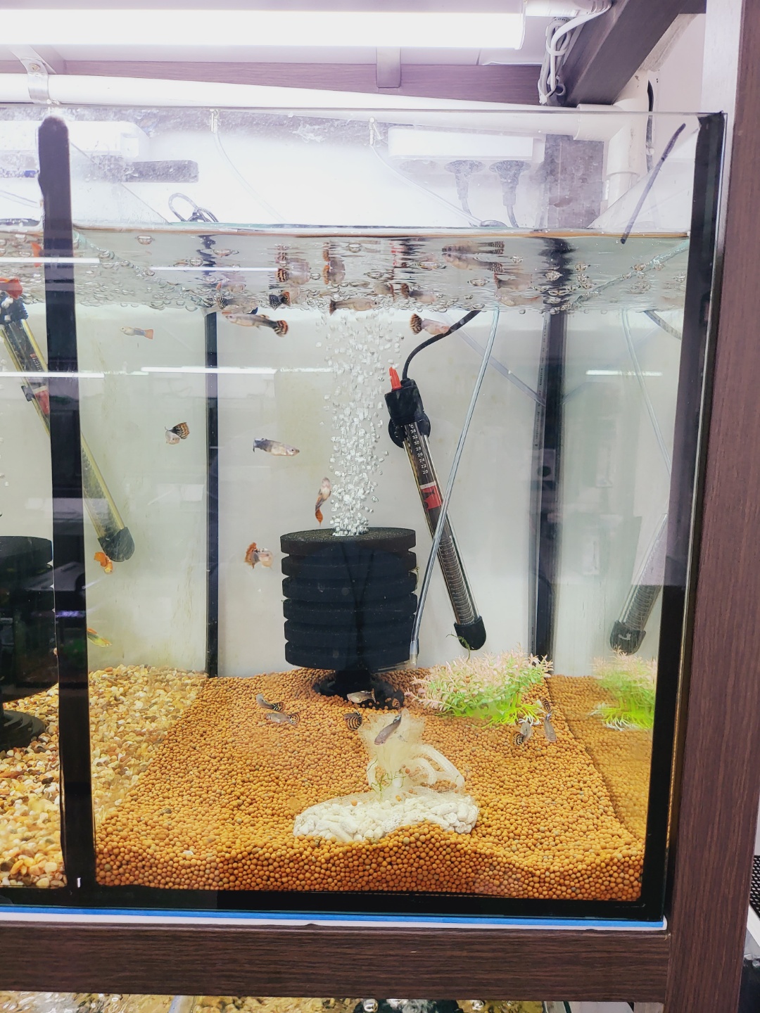 2000769928_Lk7fVXz0_b7785c7c782cb6a72d2db2206d15fe5f023578a9.jpg 이미지크게보기