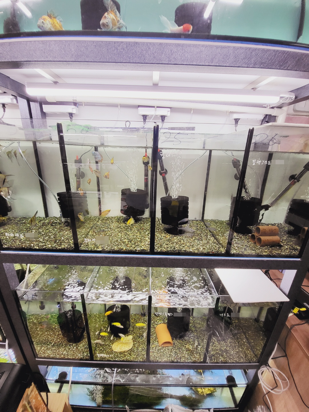 2000769928_O2Z1LQWp_2bc7922e9da3240071a5f21d814516ed4d1ebe1c.jpg 이미지크게보기