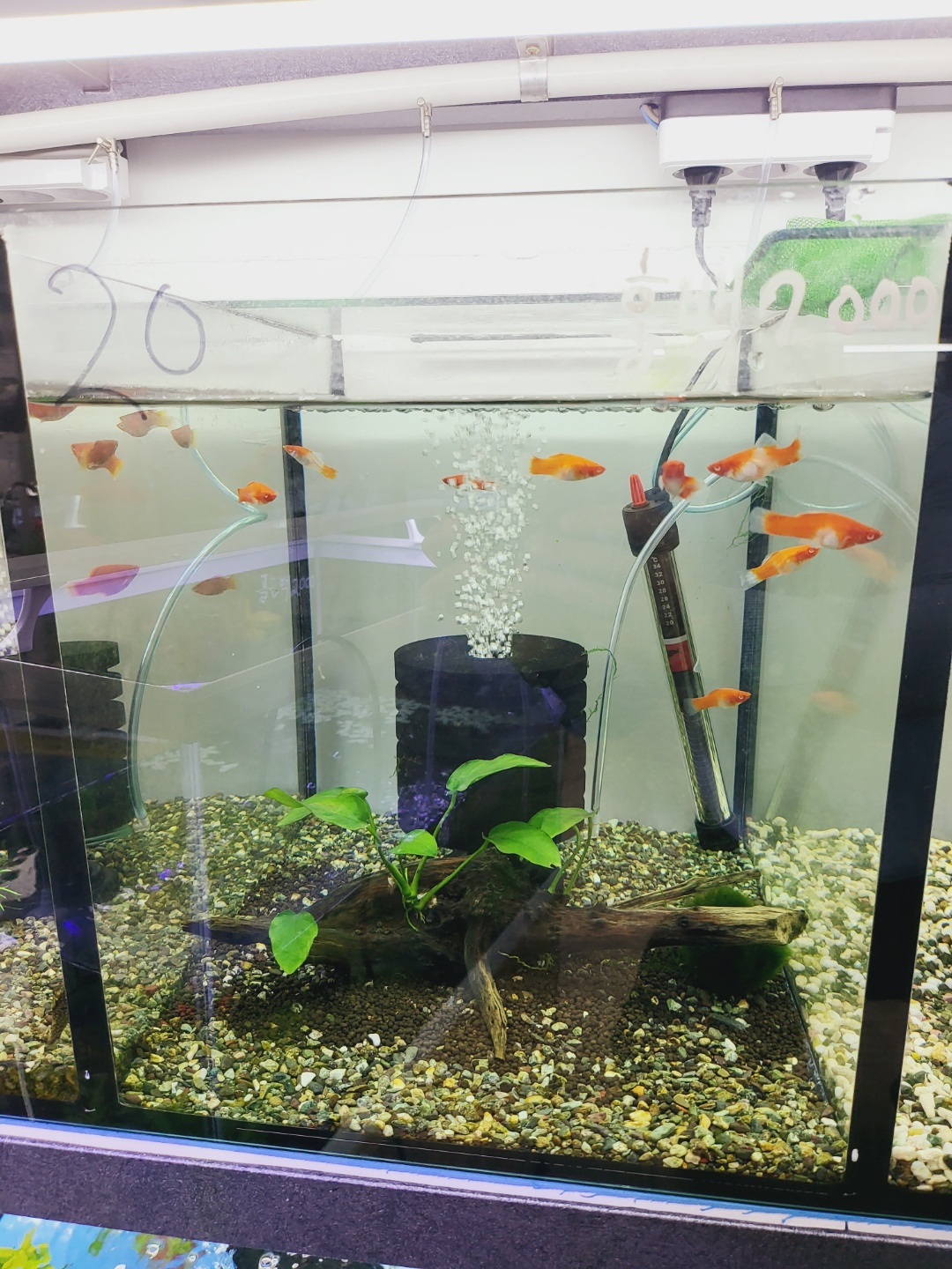 2000769928_fs7WSnl0_5dd3363d6e8197cab039fdca641c5e112ba6dc65.jpg 이미지크게보기