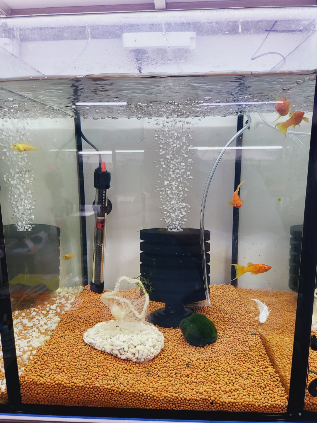 2000769928_qRBdQMPx_b998cee57881cbeb2d239f30953e8bd7520eecde.jpg 이미지크게보기