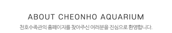 천호수족관_상단제목_내용