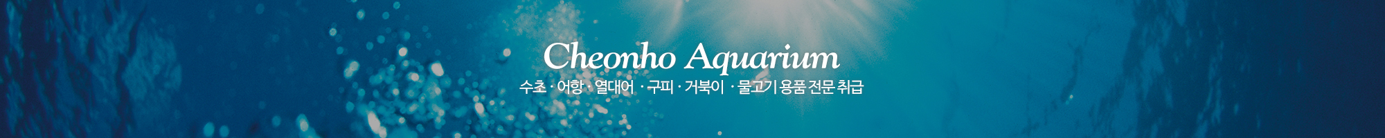 천호수족관_이미지pc