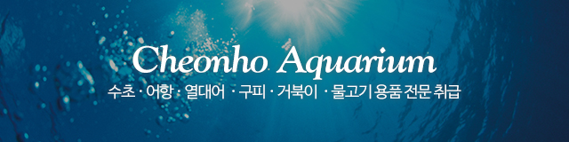천호수족관_이미지m