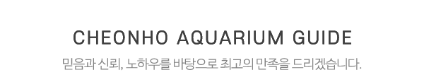 천호수족관_중간제목_제목