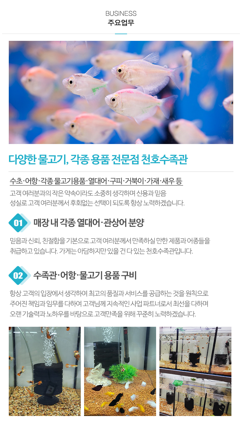 천호수족관_내용